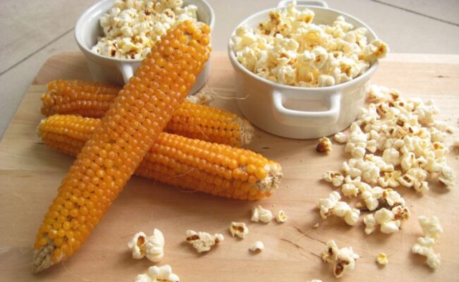 where do popcorn kernels come from